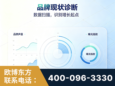 潍坊-品牌现状诊断